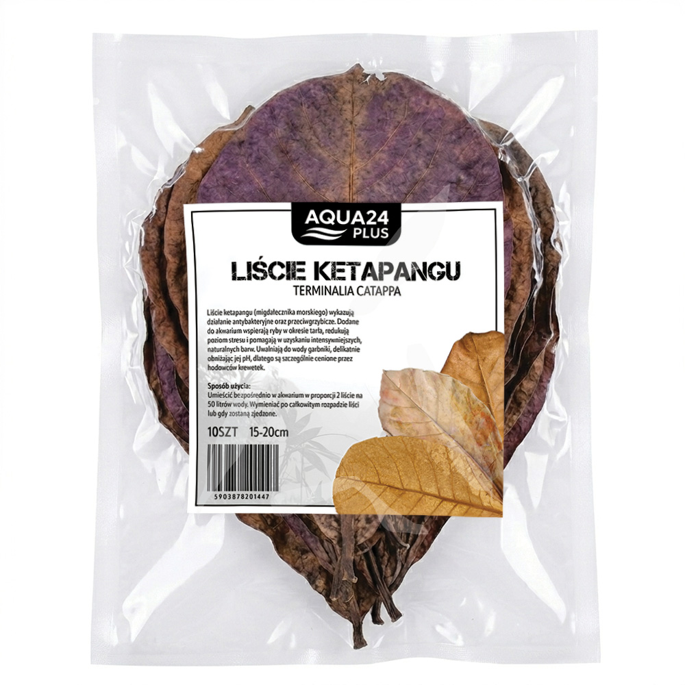 Liście Ketapangu Migdałecznika 15-20cm do Akwarium i Krewetkarium 10szt AQUA24 PLUS | AquaCare